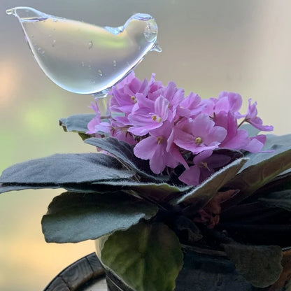 Aviara™