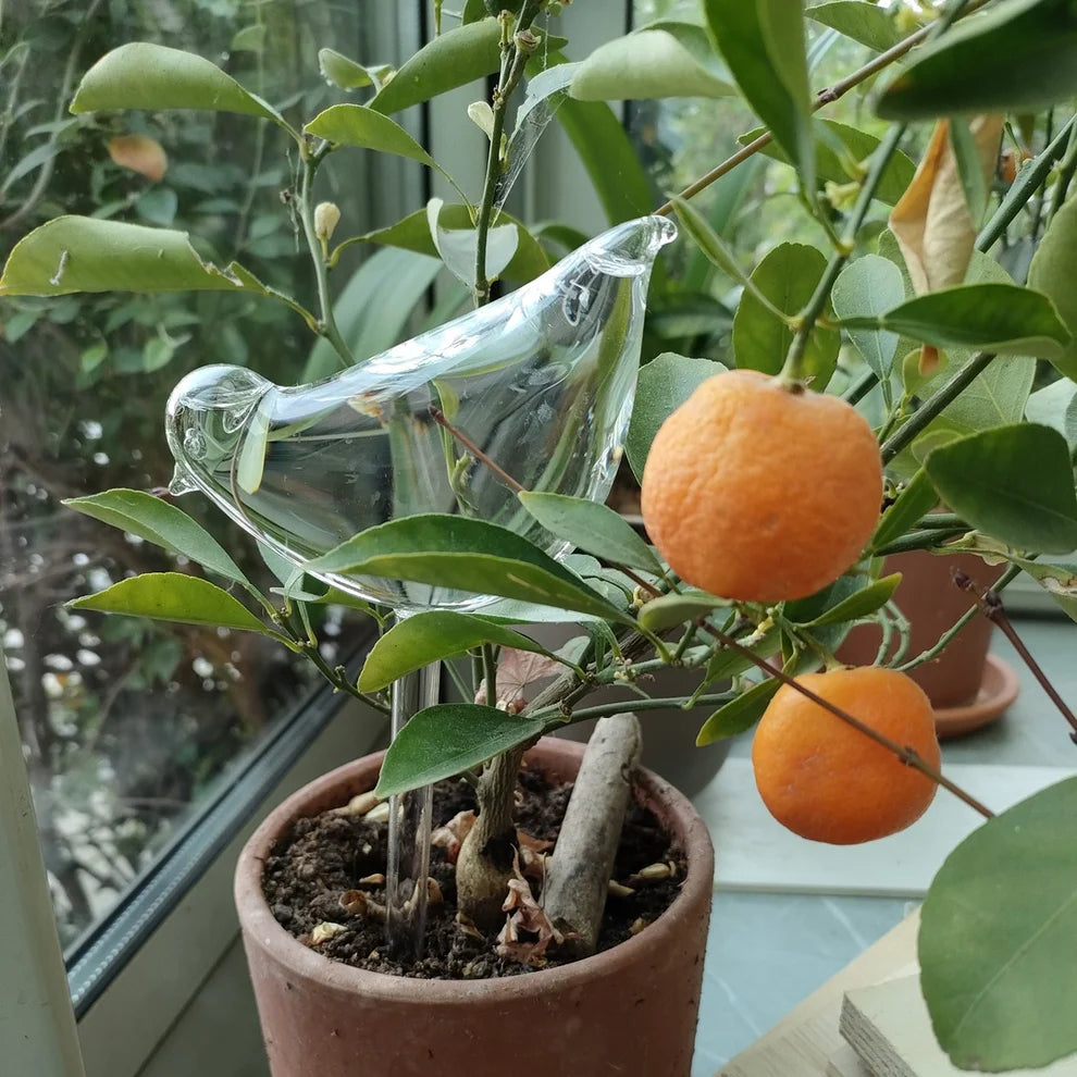 Aviara™